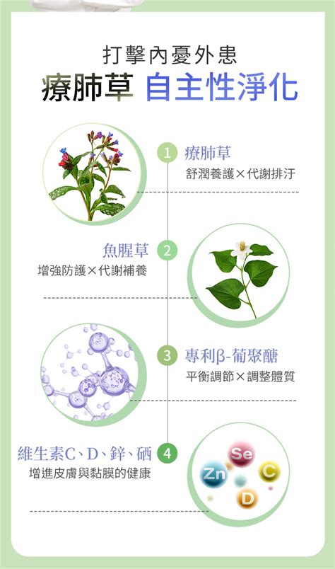 療肺草禁忌|探索療肺草的起源、作用和營養價值，以及相關注意事項和健康習。